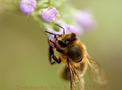 DDOS在线攻击平台